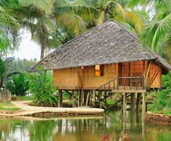 Honeymoon Tour To Thekkady