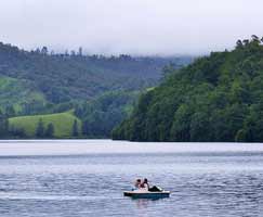 Thekkady Tourism