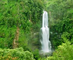 Tour To Thekkady