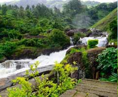 Thekkady Package