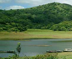 Thekkady Honeymoon Tour