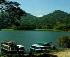 Thekkady Package Tour