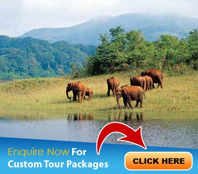 Thekkady Tour Packages