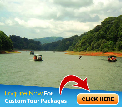 Thekkady Tour Packages