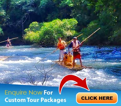 Thekkady Tour Packages